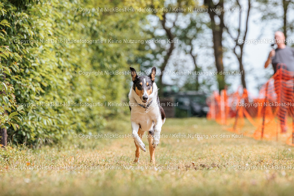 Sage Hunderennen Frühlingsfest-2026-Nickbest-Hundefotografie-0505 | Dein Hund! Dein Moment! Deine Erinnerungen! Hundefotografie in Bremen Blumenthal. Ich fange die besonderen Momente deines Vierbeiners ein – ob Indoor mit Blitzanlage oder in der freien Natur. Sicher dir dein Moment und dein Termin für eure Erinnerungen.