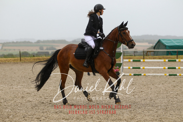 DKP47345 | Turniersportfotografie; Pferdefotografie; Dressurfotografie