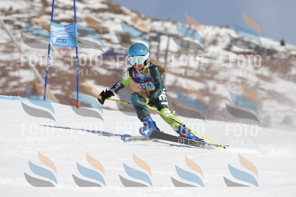 _U3G0581 | holidayphoto