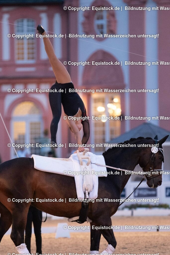 20230527_Voltigieren_NASPA_Flutlicht_0503 | equistock