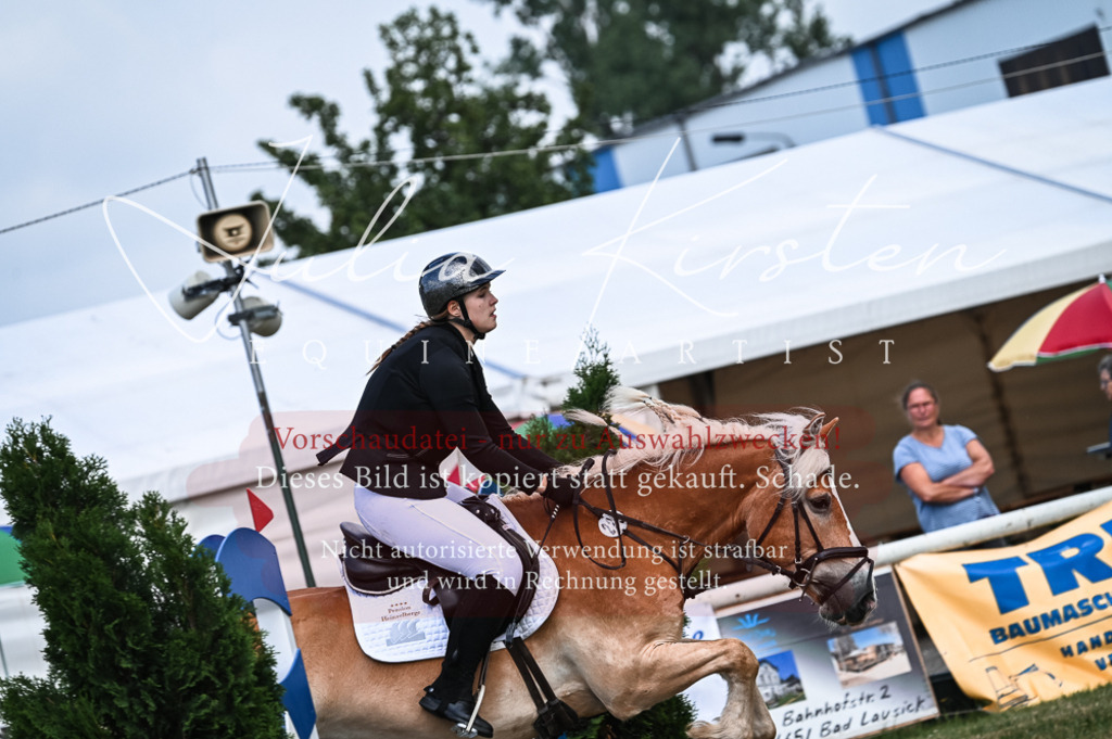 DSC_8097 | Pferde- und Turnierfotografie in Westsachsen. Pferdeportraits, Auftragszeichnungen und intuitive Kunst.