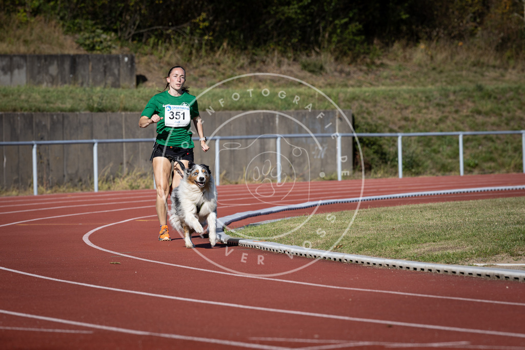 Pfotenfotografie_DV3A9342 | Hundefotografie, Tierfotograf, Pfotenfotografie, Fotoshooting Hund, Hunde Portrait, Hundesport, Hundeportraits, Heideshooting, Hunde, Sportfotograf, Hundefotograf, Turnierhundsport, THS,  - Realisiert mit Pictrs.com