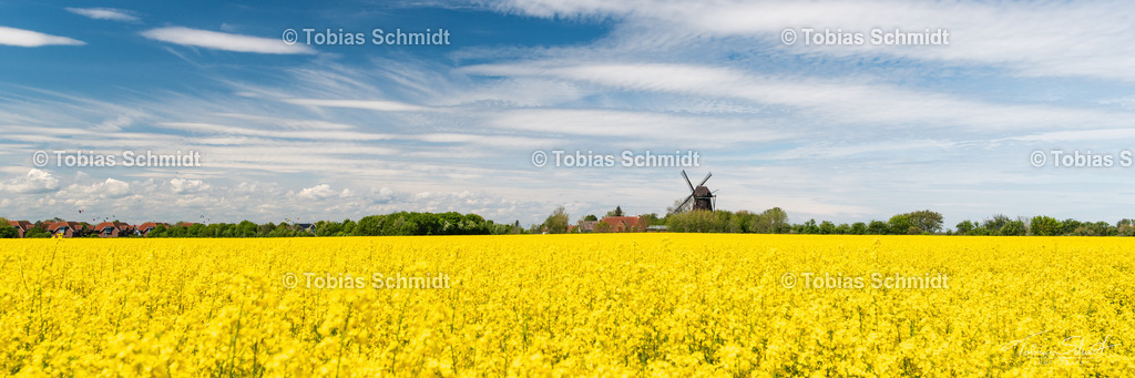 Fehmarn__DSC4260 | Fotoprodukte, Kalender und Wanddeko direkt vom Fotografen auf Fehmarn. Ob Wandbild auf Alu-Dibond, hinter Acrylglas oder auf Leinwand – hier können Sie Ihr Lieblingsbild kaufen. - Realisiert mit Pictrs.com