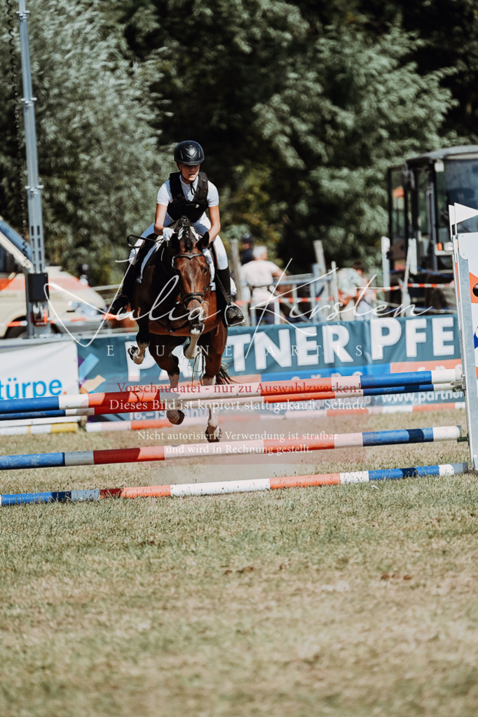 DSC_9894 | Pferde- und Turnierfotografie in Westsachsen. Pferdeportraits, Auftragszeichnungen und intuitive Kunst.