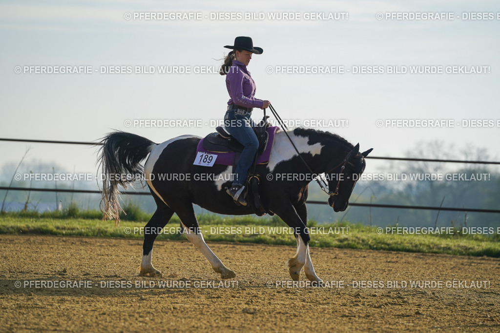 DSC00262 | Pferdegrafie