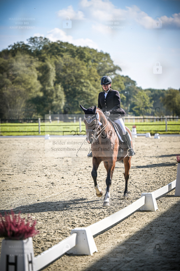 DOS_0119 | Entdecke hochwertige Reitturnierfotos von Foto Oger. Professionell, emotional und authentisch – jetzt Lieblingsmomente im Shop bestellen. - Realisiert mit Pictrs.com