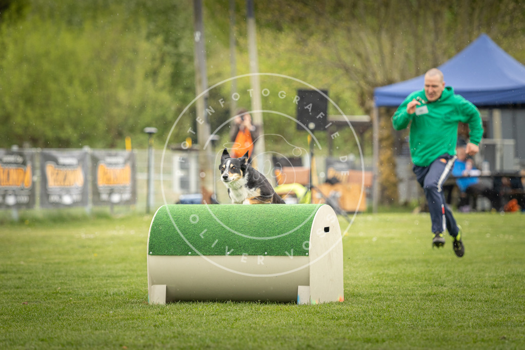 Pfotenfotografie_DV3A3549 | Hundefotografie, Tierfotograf, Pfotenfotografie, Fotoshooting Hund, Hunde Portrait, Hundesport, Hundeportraits, Heideshooting, Hunde, Sportfotograf, Hundefotograf, Turnierhundsport, THS,  - Realisiert mit Pictrs.com
