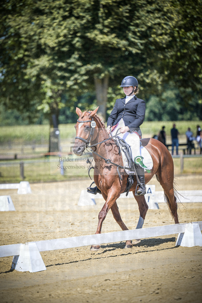 DOS_6279 | Entdecke hochwertige Reitturnierfotos von Foto Oger. Professionell, emotional und authentisch – jetzt Lieblingsmomente im Shop bestellen.Deutschlandweite Turnierfotografie. - Realisiert mit Pictrs.com