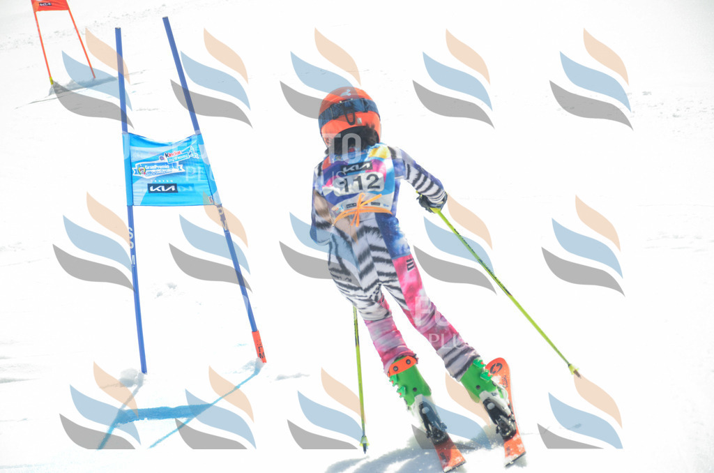 _ELE5920 | holidayphoto