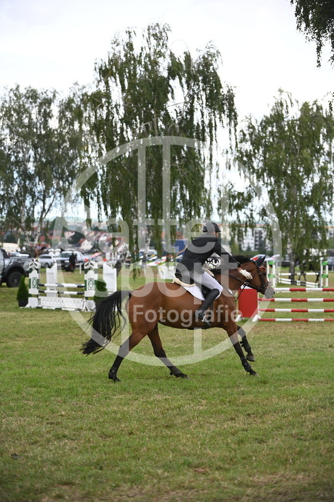 DSC_6595 | sattelsport - Realisiert mit Pictrs.com