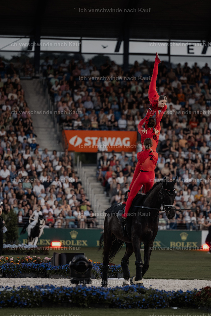 TSCHIO26_PferdundSinfonie_StoibphotographyTSCHIO26_Pferd-Sinfonie_Stoibphotography_AM11016.CR3.jpg | working equitationturnier fotograf videograf stoibphotography marixx film working equitation deutschland reitsport turnierfotografie eventfotografie equestrian events