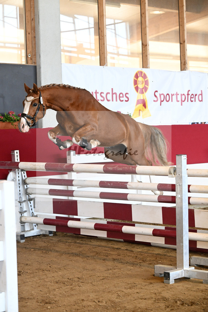 Kat-Nr. 46 TP Fabelhafter Floris v. Fabelhafter Frechdachs_Schmid_7251170 | hf-fotografie - Realizzato con Pictrs.com
