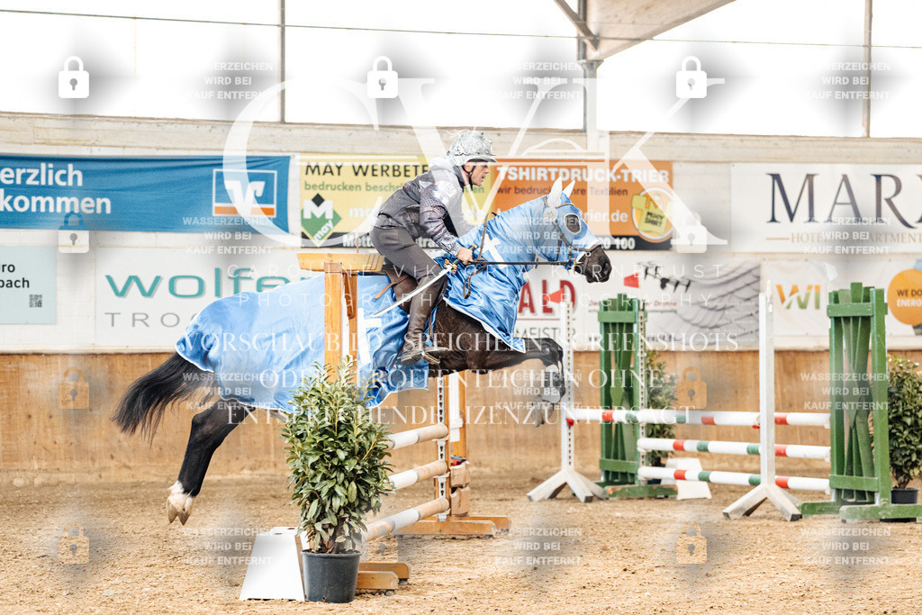 CK905419 | Turnierfotografie Pferdefotografie Trier Rheinland-Pfalz Pferdesport Reitsport Tierfotografie Sportfotografie Pferdevideo Pferdevideografie Equestrianvideography equestrianphotography  - Realisiert mit Pictrs.com