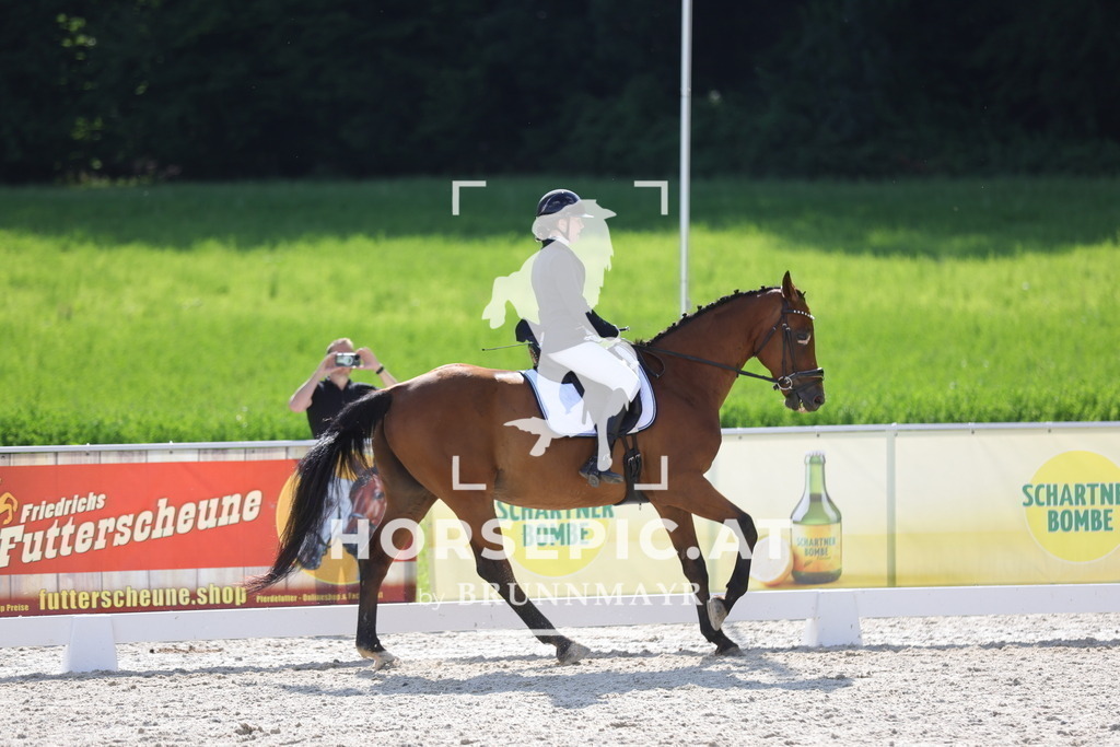 0P6A6914 | Willkommen bei Brunnmayr - Design & Fotografie – Ihrem Spezialisten für Reitturniere und Pferdeveranstaltungen in Oberösterreich, Salzburg und Bayern! Seit über 17 Jahren sind wir leidenschaftlich dabei.