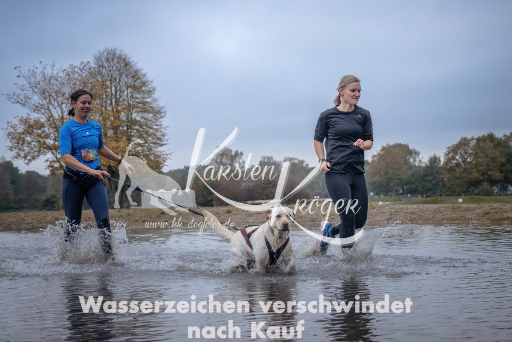 1156_ZZ97568 | kk-dogfotos