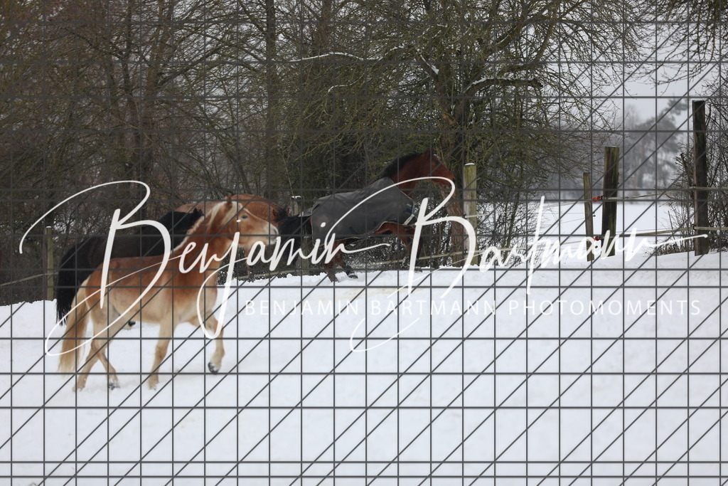 AZ2A3391 | Benjamin Bartmann Photomoments