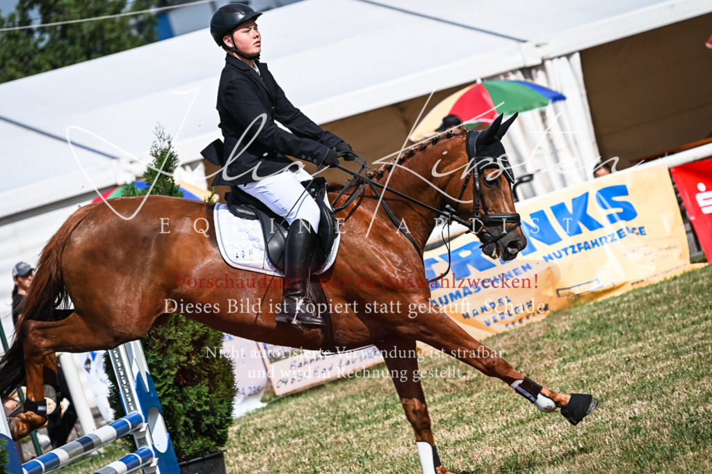 DSC_8167 | Pferde- und Turnierfotografie in Westsachsen. Pferdeportraits, Auftragszeichnungen und intuitive Kunst.