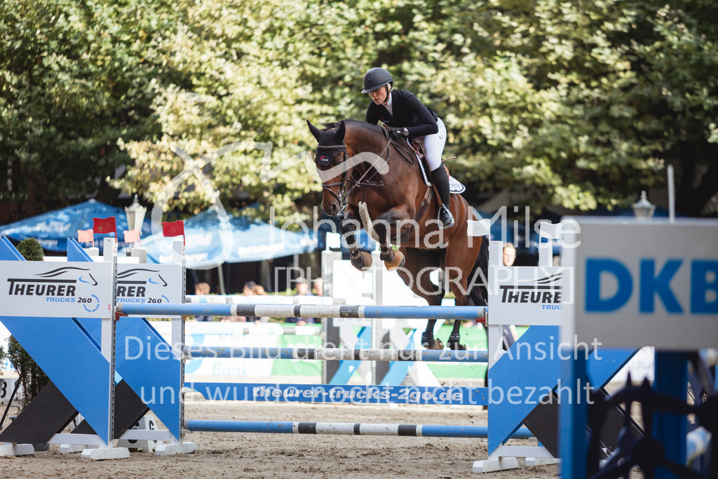 240915_OWLCh_Youngster6y-528 | Deine schönsten Turniermomente als professionelle Fotos! Entdecke hochwertige Pferdesport-Fotografie im Online-Shop. Jetzt Fotos finden & bestellen!