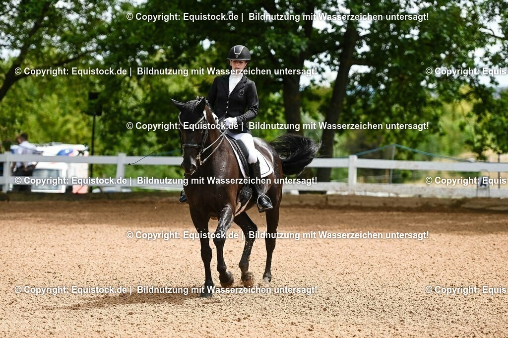 20230716_01_Dressurprüfung Kl.M_0012 | equistock