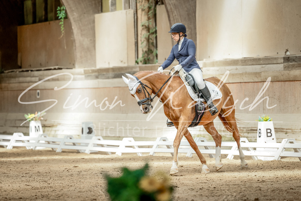 20250621-_3LI6385 | Tierfotografie Pferde, Hunde, Katzen, Haustiere.
Turnierfotografie Reitturniere, Reiten, Springreiten, Dressur in Hanau, dem Main-Kinzig-Kreis und dem Rhein-Main- Gebiet um Frankfurt