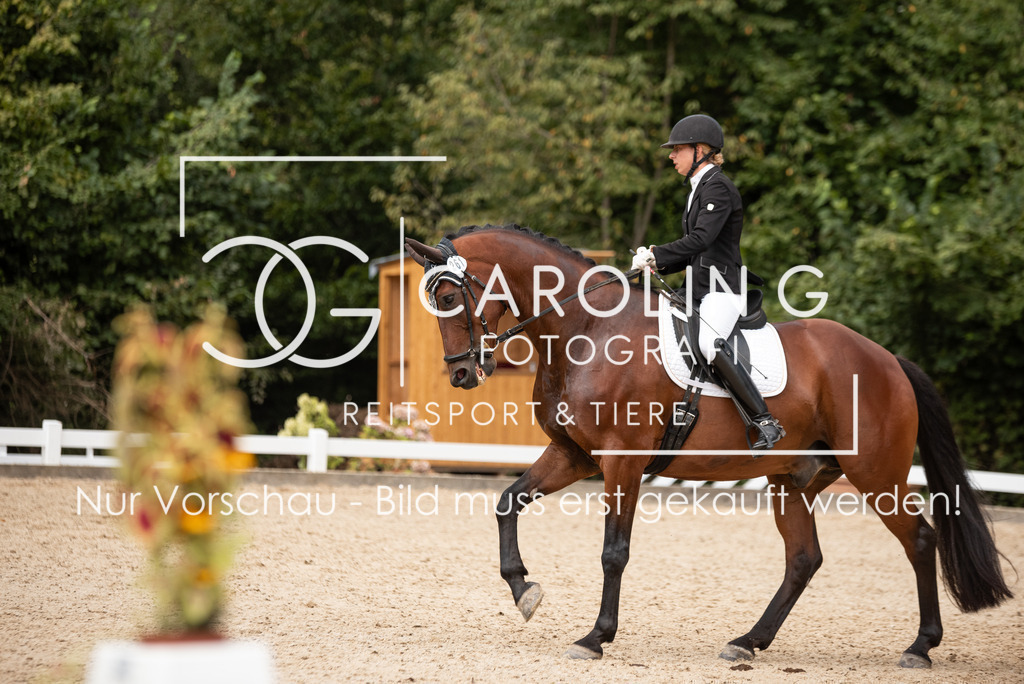 DSC_6507 | Turnierfotografin Carolin Gieschke, Turnierfotografie Carolin G Fotografie, Turnierfotos Kirchheim/Teck, Esslingen, Stuttgart, Bodenseekreis