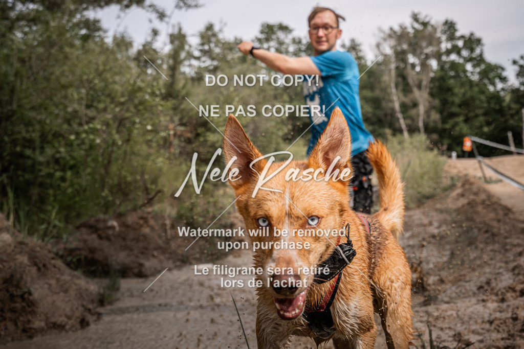 nelerasche_Hoope2026_Sa10-1030_329 | nelerasche