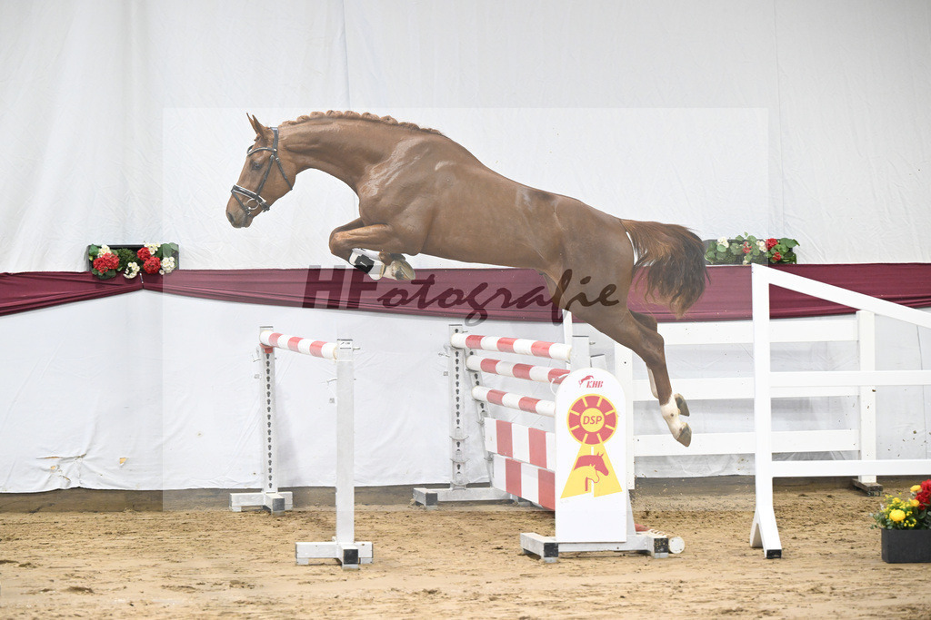 Kat-Nr. 82 Orient Express ES x Dibadu L_Markus Denzel_47252623 | hf-fotografie - Realisiert mit Pictrs.com