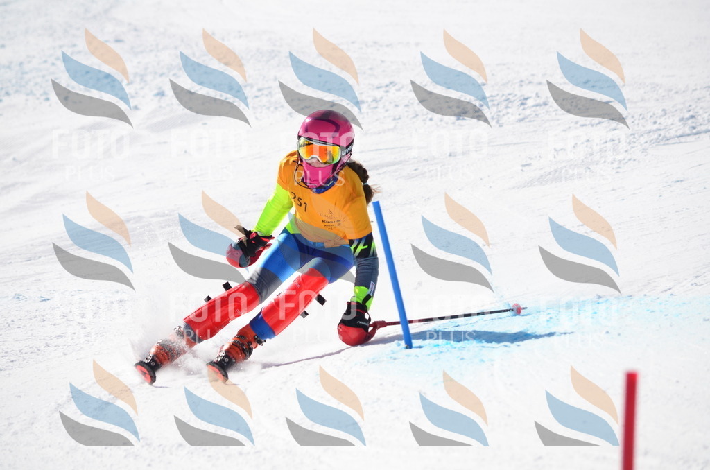 C8440 | holidayphoto