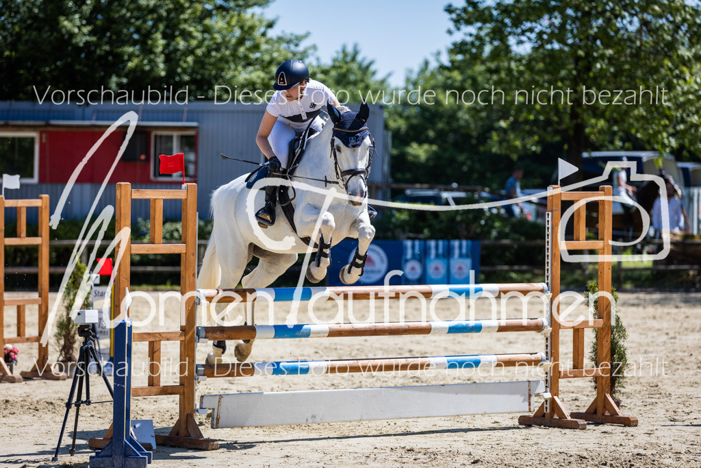 Donop24-Stil-L-079 | MomenTaufnahmen Pferdesportfotos