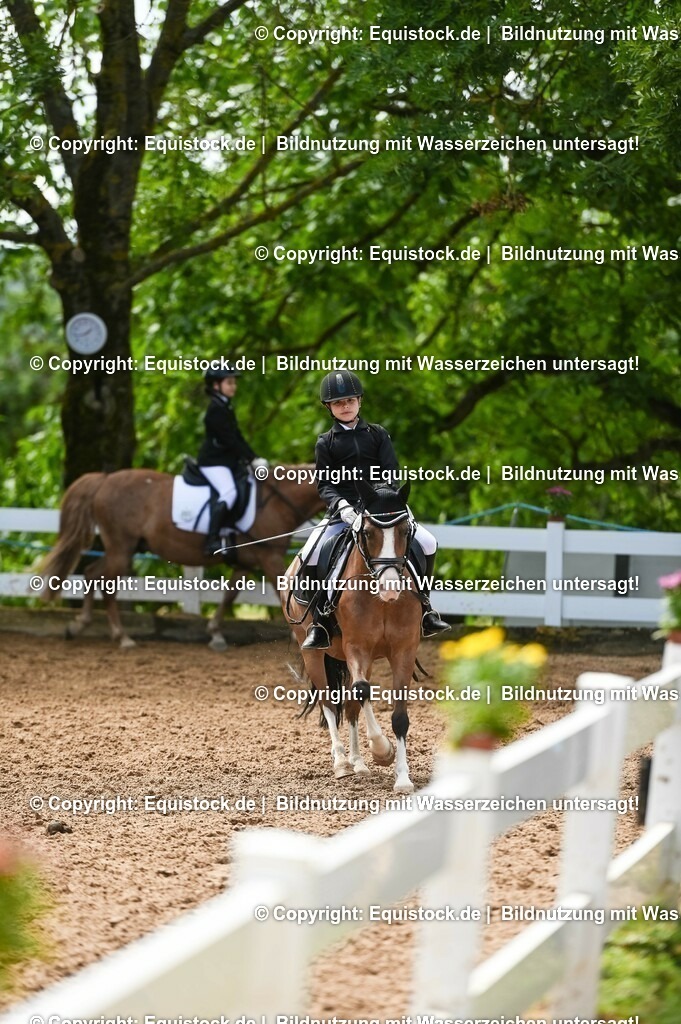 20230716_10-3_Reiter-WB Schritt - Trab - Galopp_0151 | equistock