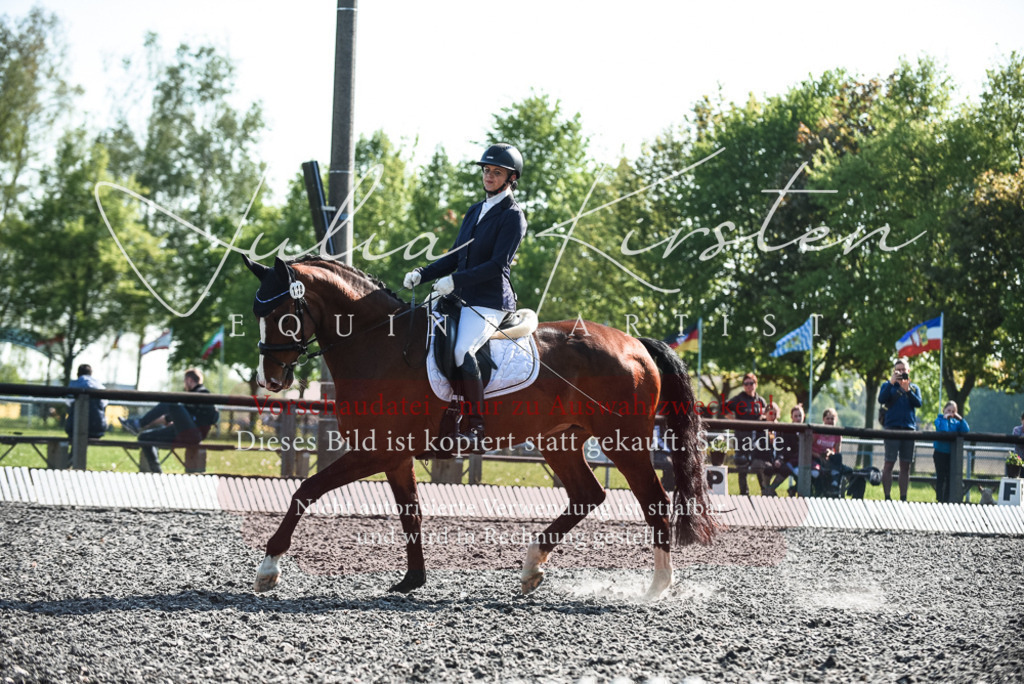 DSC_8543 | Pferde- und Turnierfotografie in Westsachsen. Pferdeportraits, Auftragszeichnungen und intuitive Kunst.