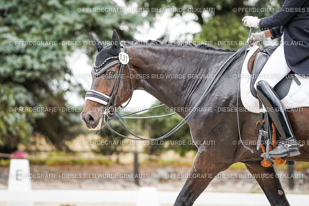 DSC06840 | Pferdegrafie