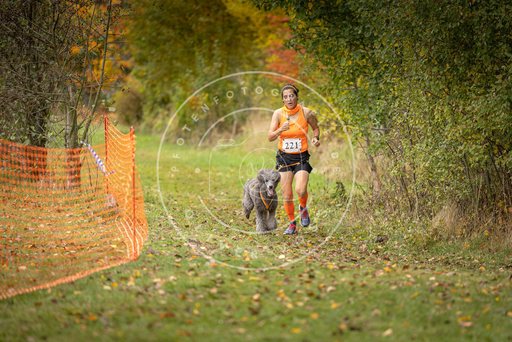 Pfotenfotografie_DV3A4792 | Hundefotografie, Tierfotograf, Pfotenfotografie, Fotoshooting Hund, Hunde Portrait, Hundesport, Hundeportraits, Heideshooting, Hunde, Sportfotograf, Hundefotograf, Turnierhundsport, THS,  - Realisiert mit Pictrs.com