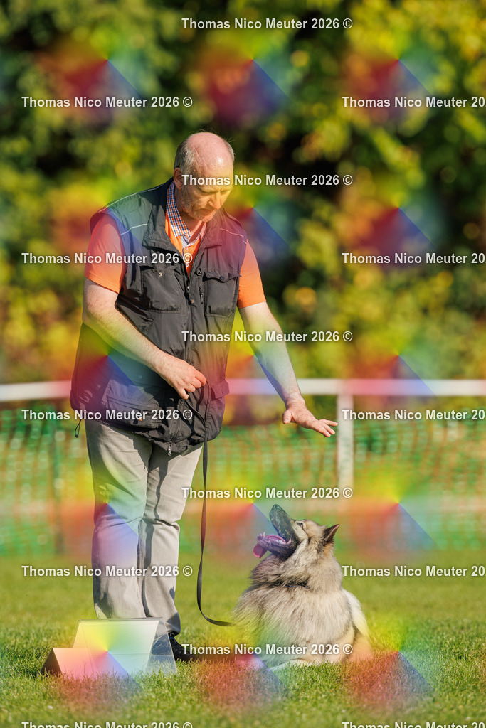 Thomas_Nico_Meuter(C)_04. Oktober 2026_223A0870 | Bild von Thomas Nico Meuter - Realisiert mit Pictrs.com