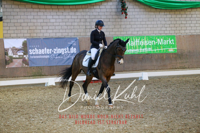 IMG_3014 | Turnierfotos kaufen im Webshop von Daniel Kuhl Photography – entdecke professionelle Reitsportfotos aus Turnieren & Events. Hochwertige Turnierbilder online bestellen & sichern. Jetzt Fotos von Reitsportturnieren kaufen!
