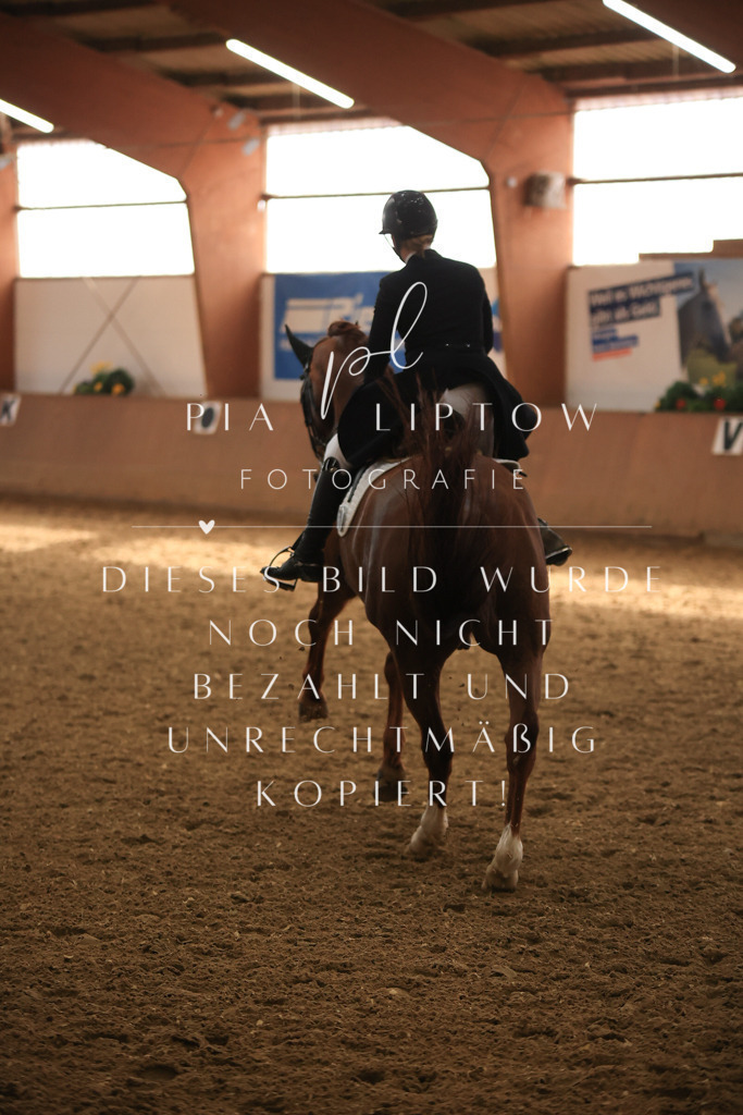 IMGT5132 | pl-fotografie