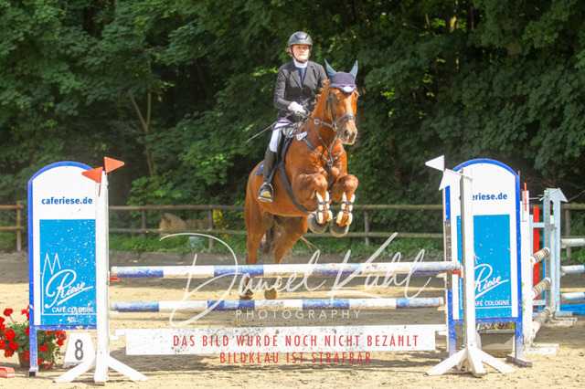 DKP45121 | Turniersportfotografie; Pferdefotografie; Dressurfotografie