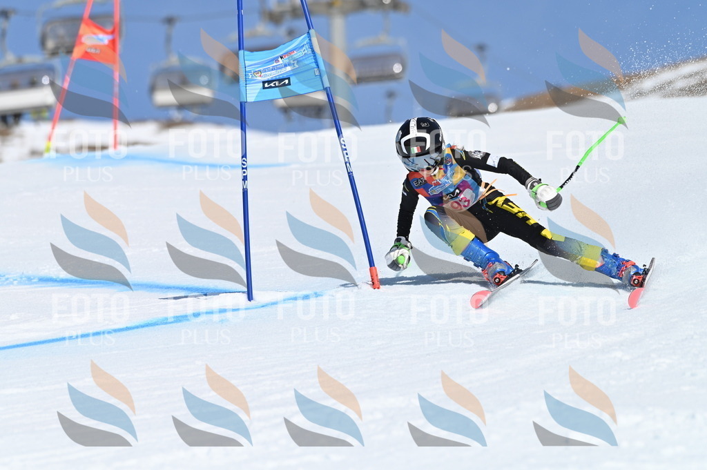 BGV_9314 | holidayphoto