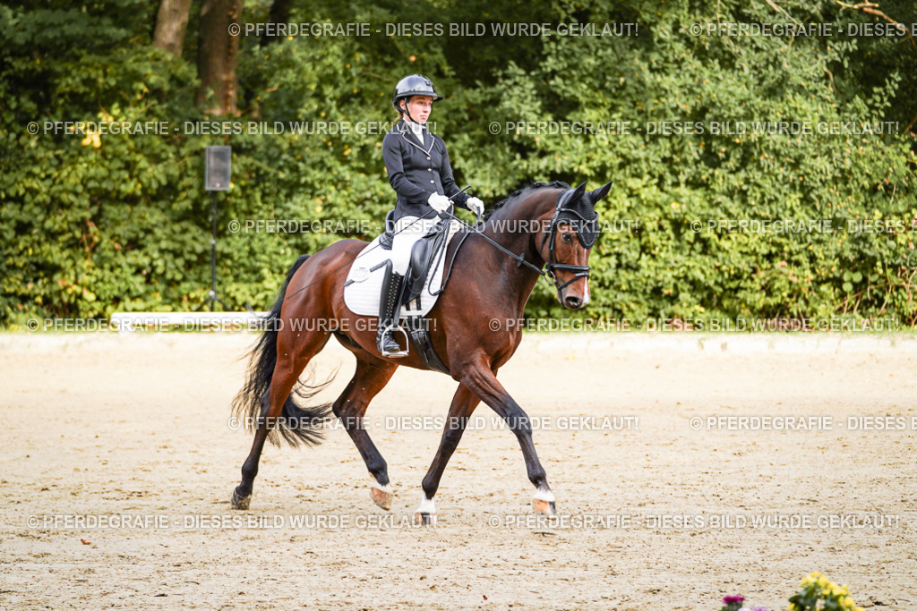 DSC09314 | Pferdegrafie