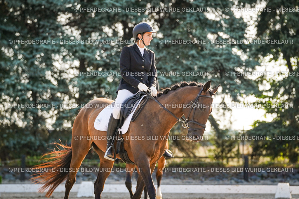 DSC08316 | Pferdegrafie