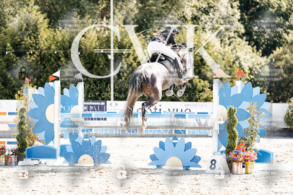 CK902603 | Turnierfotografie Pferdefotografie Trier Rheinland-Pfalz Pferdesport Reitsport Tierfotografie Sportfotografie Pferdevideo Pferdevideografie Equestrianvideography equestrianphotography  - Realisiert mit Pictrs.com