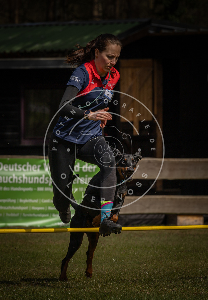 Pfotenfotografie_DV3A3807 | Hundefotografie, Tierfotograf, Pfotenfotografie, Fotoshooting Hund, Hunde Portrait, Hundesport, Hundeportraits, Heideshooting, Hunde, Sportfotograf, Hundefotograf, Turnierhundsport, THS,  - Realisiert mit Pictrs.com