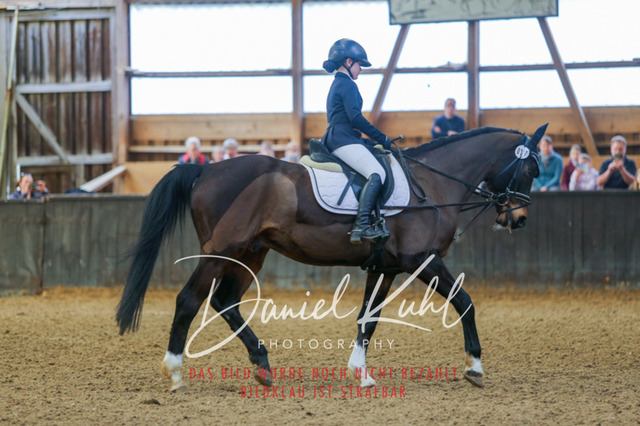 IMG_0858 | Turniersportfotografie; Pferdefotografie; Dressurfotografie