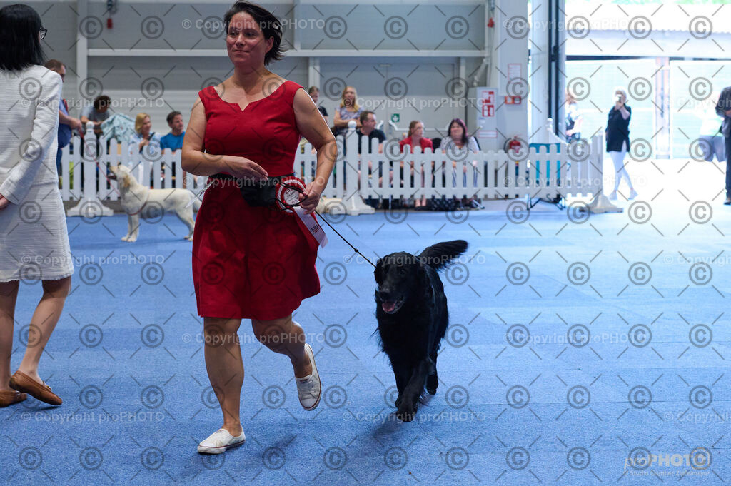 202406_ÖKV-IHA-Tulln24_DSC_5134 | proPHOTO - Realisiert mit Pictrs.com