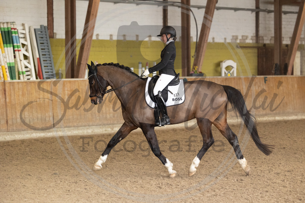 994A8830 | sabrinanicolaifotografie - Realisiert mit Pictrs.com