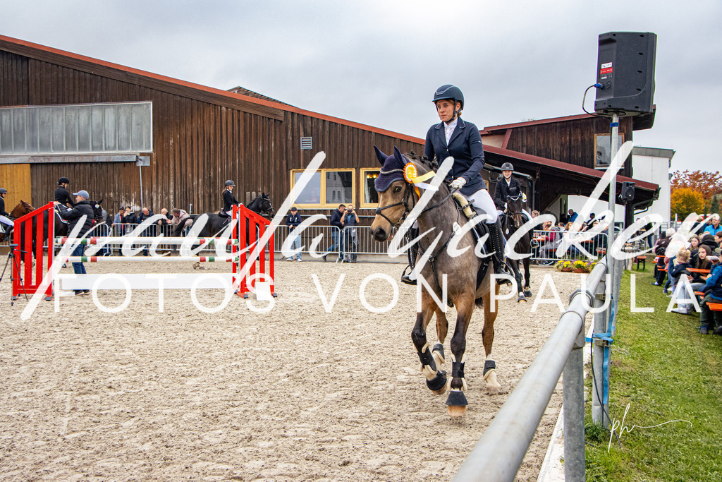IMG_3920 | Erleben Sie dynamische Sport- und emotionale Tierfotografie in Süddeutschland mit Fotos von Paula. Spezialisiert auf Pferde- und Hundefotografie sowie Sportevents. Kontaktieren Sie mich für einzigartige und ausdrucksstarke Bilder Ihrer besonderen Momente. - Realisiert mit Pictrs.com