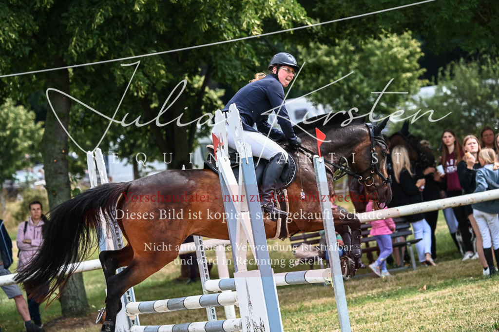 DSC_8252 | Pferde- und Turnierfotografie in Westsachsen. Pferdeportraits, Auftragszeichnungen und intuitive Kunst.
