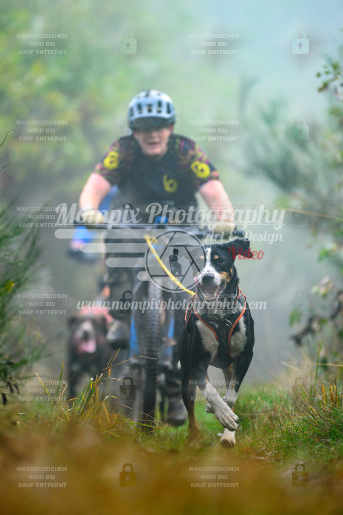 MompixPhotography_20TSB_E4_Bike-80 | PayLife
