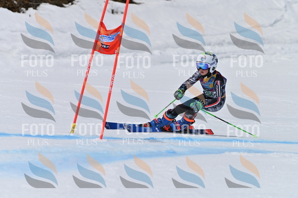 BGV_5083 | holidayphoto