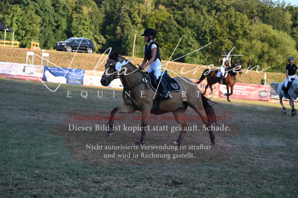 DSC_9298 | Pferde- und Turnierfotografie in Westsachsen. Pferdeportraits, Auftragszeichnungen und intuitive Kunst.